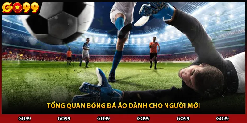 Tổng quan bóng đá ảo dành cho người mới